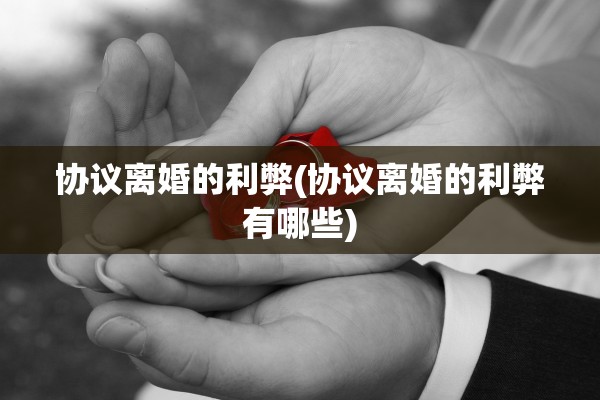 协议离婚的利弊(协议离婚的利弊有哪些) 协议离婚的利弊(协议离婚的利弊有哪些)