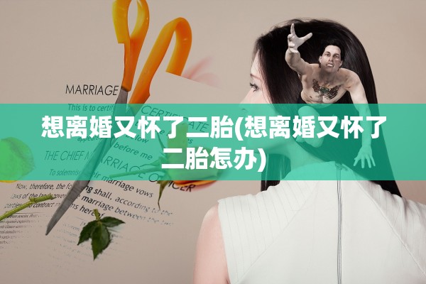 想离婚又怀了二胎(想离婚又怀了二胎怎办) 想离婚又怀了二胎(想离婚又怀了二胎怎办)