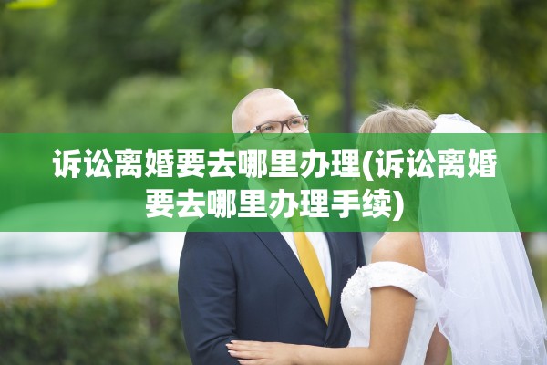 诉讼离婚要去哪里办理(诉讼离婚要去哪里办理手续)