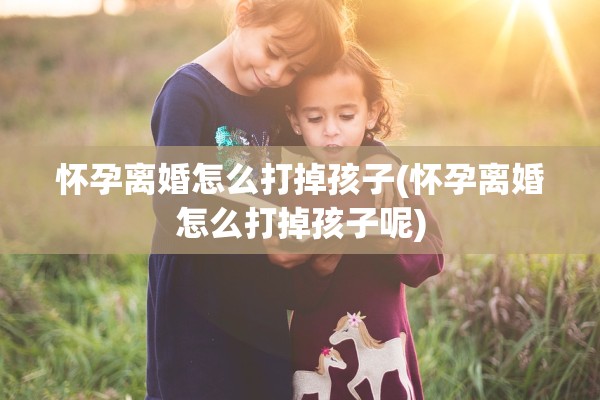 怀孕离婚怎么打掉孩子(怀孕离婚怎么打掉孩子呢)