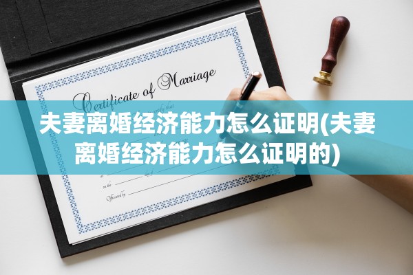 夫妻离婚经济能力怎么证明(夫妻离婚经济能力怎么证明的)