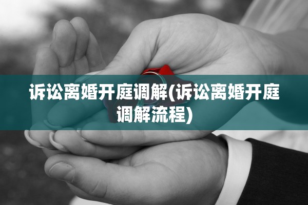 诉讼离婚开庭调解(诉讼离婚开庭调解流程)