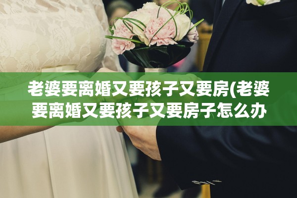 老婆要离婚又要孩子又要房(老婆要离婚又要孩子又要房子怎么办)