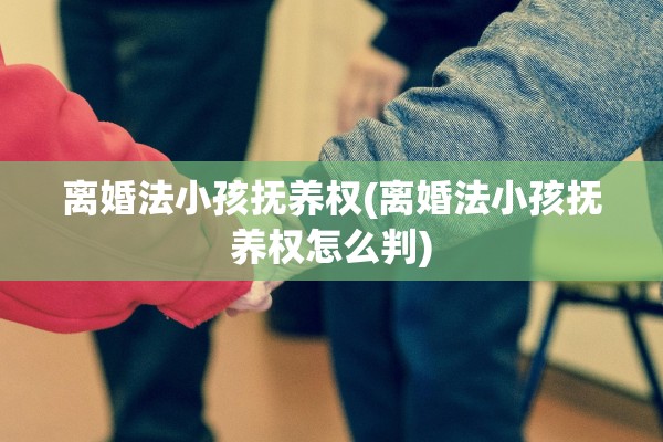 离婚法小孩抚养权(离婚法小孩抚养权怎么判)