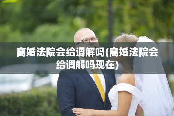 离婚法院会给调解吗(离婚法院会给调解吗现在)
