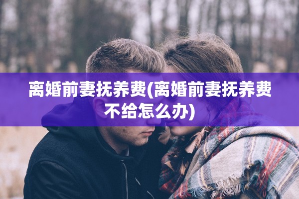 离婚前妻抚养费(离婚前妻抚养费不给怎么办) 离婚前妻抚养费(离婚前妻抚养费不给怎么办)