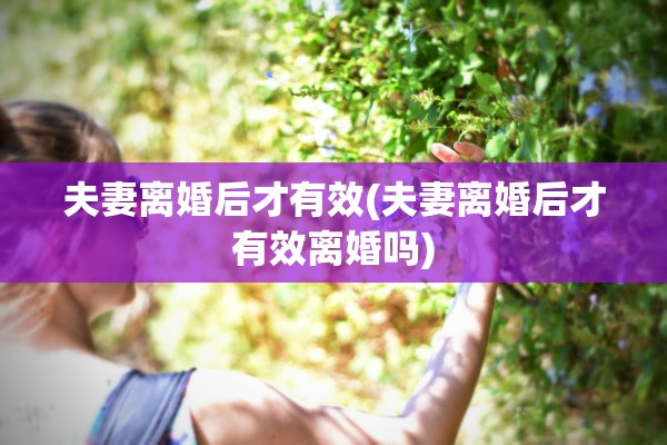 夫妻离婚后才有效(夫妻离婚后才有效离婚吗)