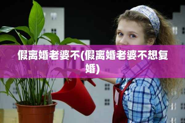 假离婚老婆不(假离婚老婆不想复婚) 假离婚老婆不(假离婚老婆不想复婚)