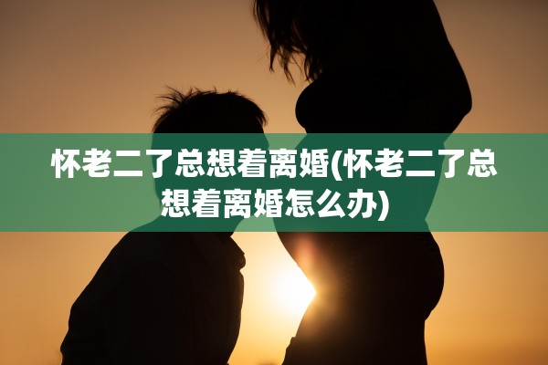 怀老二了总想着离婚(怀老二了总想着离婚怎么办)