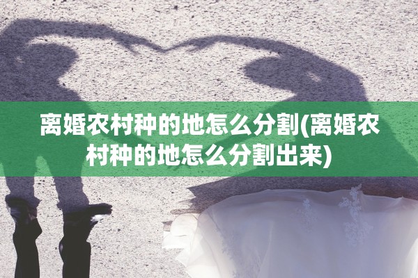 离婚农村种的地怎么分割(离婚农村种的地怎么分割出来)