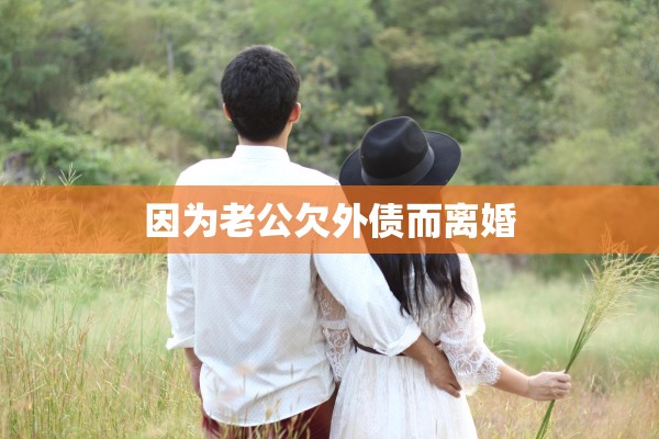 因为老公欠外债而离婚 因为老公欠外债而离婚