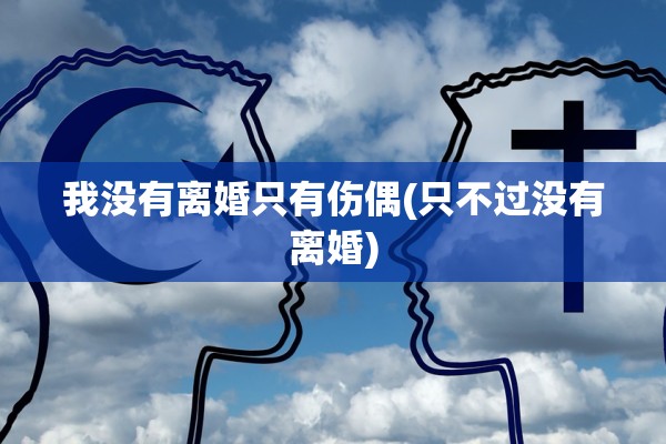 我没有离婚只有伤偶(只不过没有离婚)