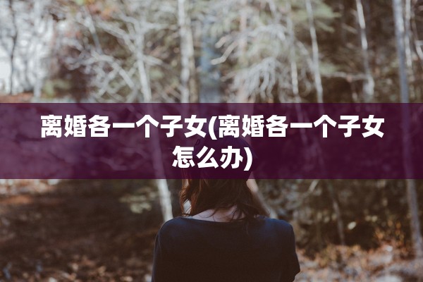 离婚各一个子女(离婚各一个子女怎么办)