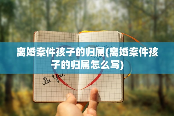 离婚案件孩子的归属(离婚案件孩子的归属怎么写)