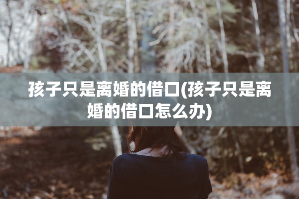 孩子只是离婚的借口(孩子只是离婚的借口怎么办)