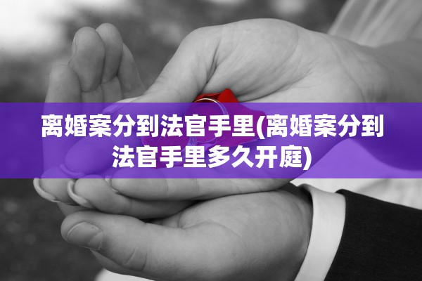 离婚案分到法官手里(离婚案分到法官手里多久开庭)