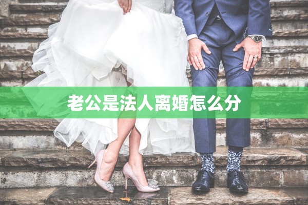 老公是法人离婚怎么分