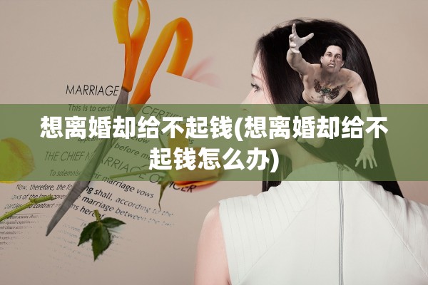 想离婚却给不起钱(想离婚却给不起钱怎么办)
