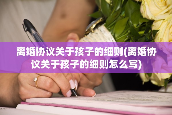 离婚协议关于孩子的细则(离婚协议关于孩子的细则怎么写)