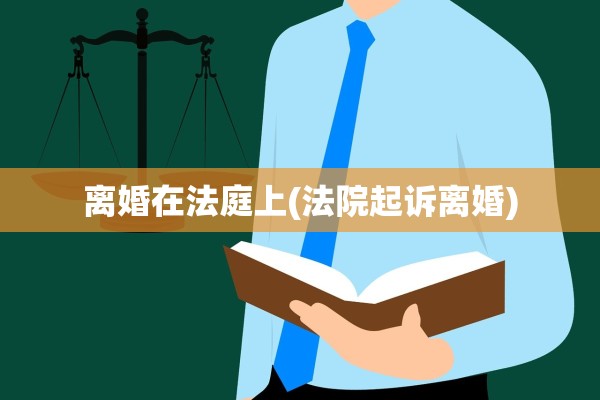 离婚在法庭上(法院起诉离婚)