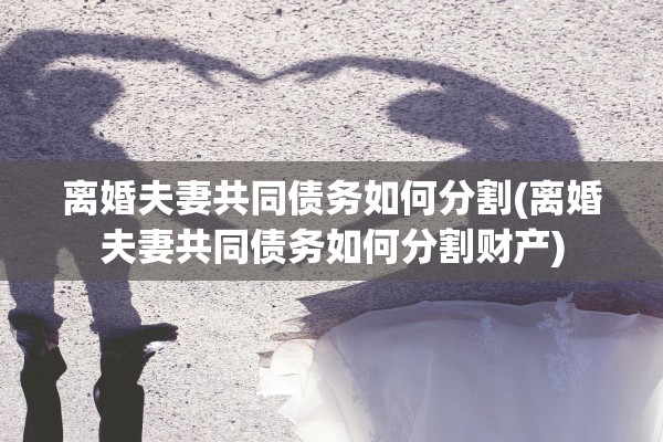 离婚夫妻共同债务如何分割(离婚夫妻共同债务如何分割财产)