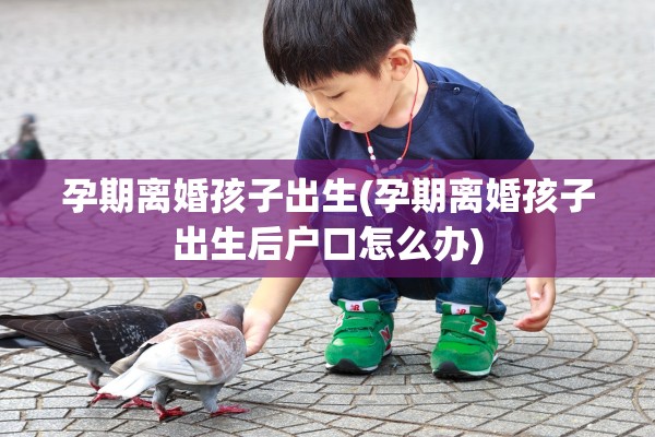 孕期离婚孩子出生(孕期离婚孩子出生后户口怎么办)