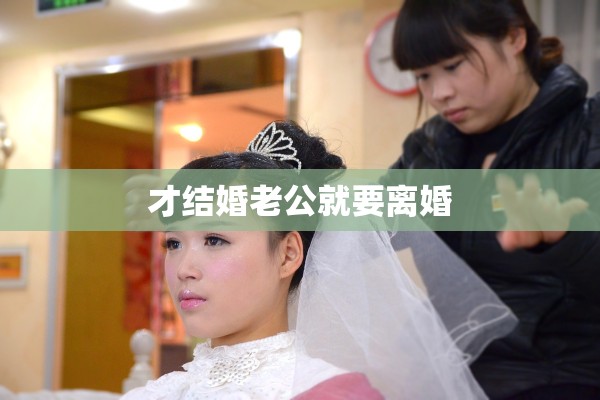 才结婚老公就要离婚 才结婚老公就要离婚