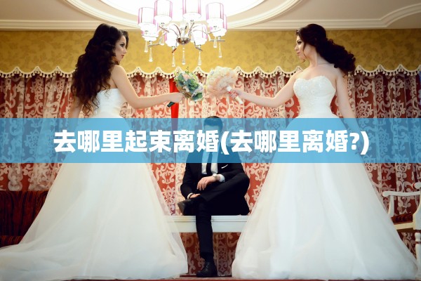 去哪里起束离婚(去哪里离婚?)