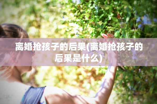 离婚抢孩子的后果(离婚抢孩子的后果是什么)