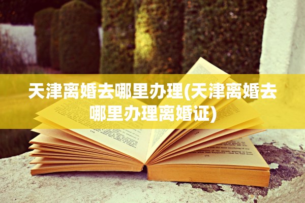 天津离婚去哪里办理(天津离婚去哪里办理离婚证)