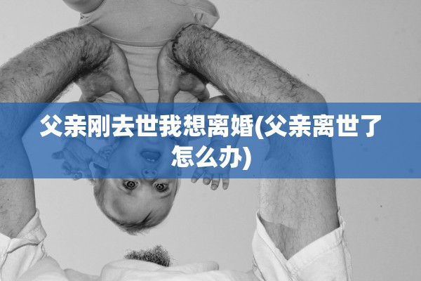 父亲刚去世我想离婚(父亲离世了怎么办)