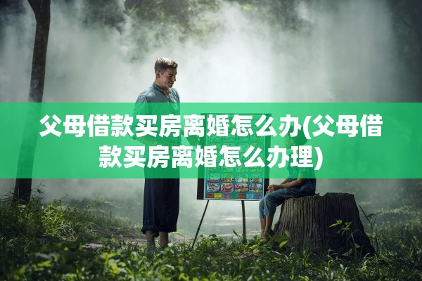 父母借款买房离婚怎么办(父母借款买房离婚怎么办理)