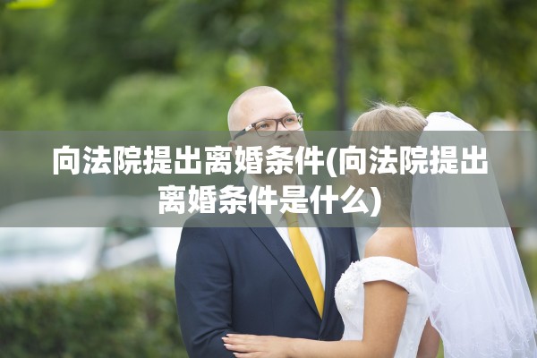 向法院提出离婚条件(向法院提出离婚条件是什么) 向法院提出离婚条件(向法院提出离婚条件是什么)