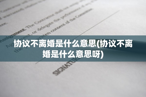 协议不离婚是什么意思(协议不离婚是什么意思呀)