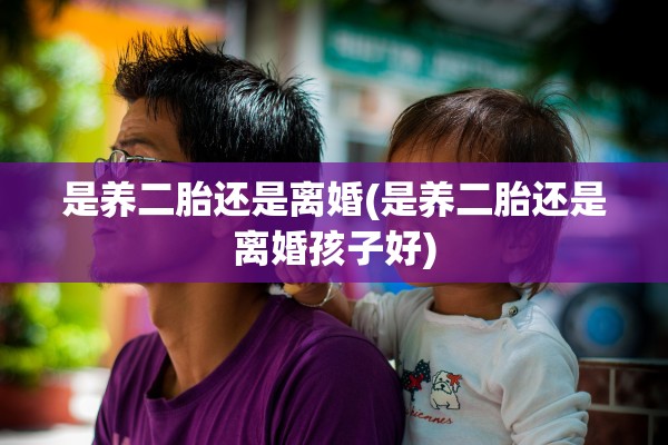 是养二胎还是离婚(是养二胎还是离婚孩子好)