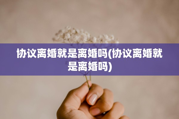 协议离婚就是离婚吗(协议离婚就是离婚吗)