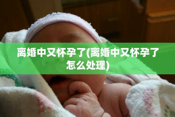 离婚中又怀孕了(离婚中又怀孕了怎么处理)