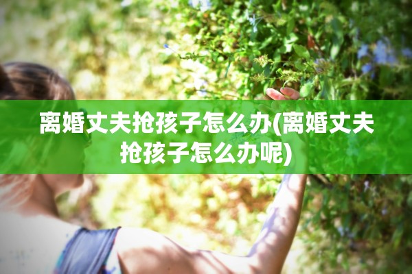 离婚丈夫抢孩子怎么办(离婚丈夫抢孩子怎么办呢) 离婚丈夫抢孩子怎么办(离婚丈夫抢孩子怎么办呢)