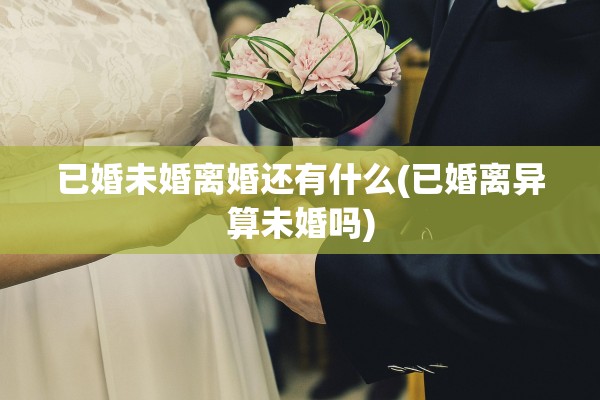 已婚未婚离婚还有什么(已婚离异算未婚吗) 已婚未婚离婚还有什么(已婚离异算未婚吗)