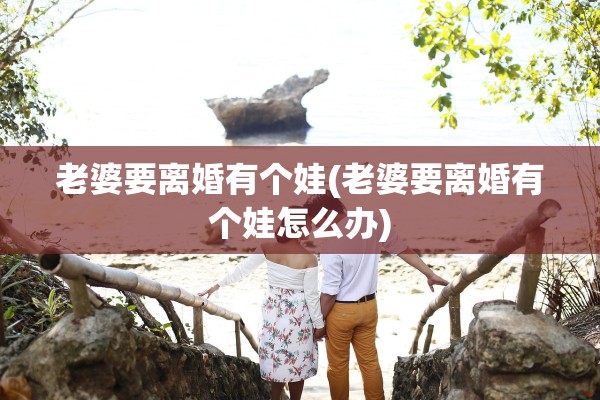 老婆要离婚有个娃(老婆要离婚有个娃怎么办)