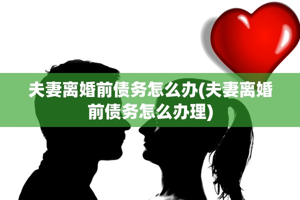 夫妻离婚前债务怎么办(夫妻离婚前债务怎么办理) 夫妻离婚前债务怎么办(夫妻离婚前债务怎么办理)