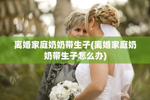 离婚家庭奶奶带生子(离婚家庭奶奶带生子怎么办)