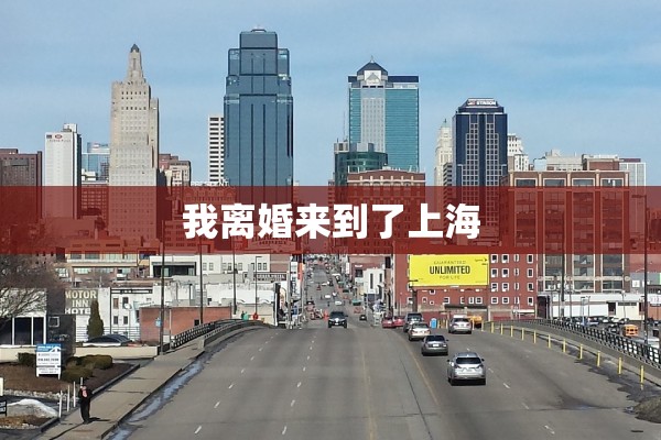 我离婚来到了上海