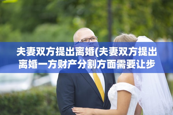 夫妻双方提出离婚(夫妻双方提出离婚一方财产分割方面需要让步吗)