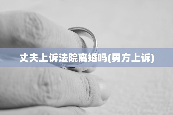 丈夫上诉法院离婚吗(男方上诉)