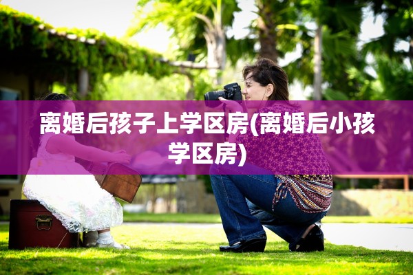 离婚后孩子上学区房(离婚后小孩学区房)