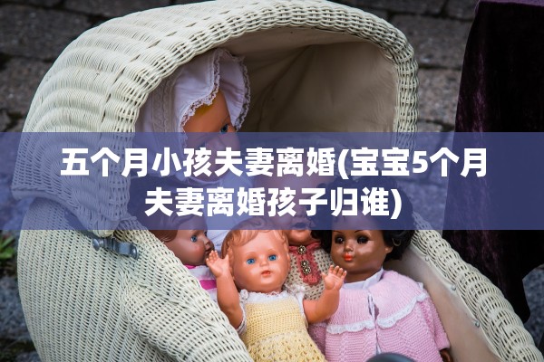 五个月小孩夫妻离婚(宝宝5个月夫妻离婚孩子归谁)