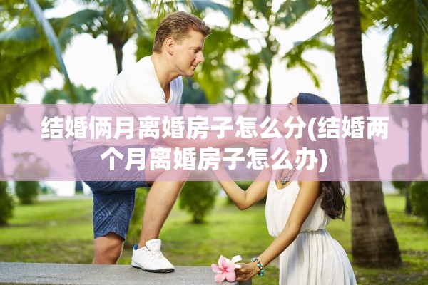 结婚俩月离婚房子怎么分(结婚两个月离婚房子怎么办)