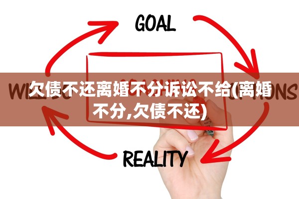 欠债不还离婚不分诉讼不给(离婚不分,欠债不还)