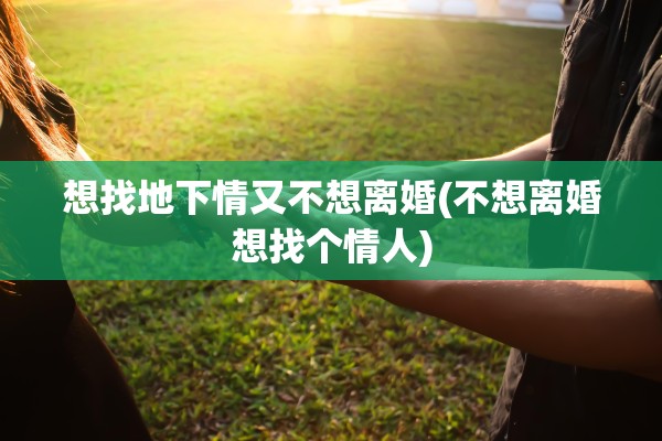 想找地下情又不想离婚(不想离婚想找个情人)